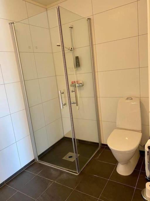 Leilighet Sentralt Pa Senja Silsand Bagian luar foto